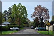 Ottawa Home Builder: Homes in Westboro  Luxury living in a green neighbourhood  Byron House