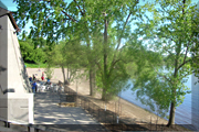 Ottawa Home Builder: Homes in Westboro  Luxury living in a green neighbourhood  Remic Rapids