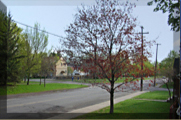 Ottawa Home Builder: Homes in Westboro  Luxury living in a green neighbourhood  Westboro Beach