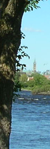Ottawa Home Builder: Homes in Westboro - Luxury living in a green neighbourhood - Green Neighbourhood