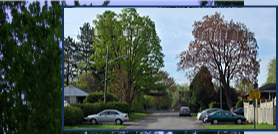Ottawa Home Builder: Homes in Westboro - Luxury living in a green neighbourhood - Athone Private View