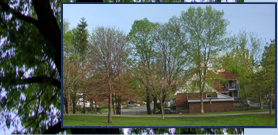 Ottawa Home Builder: Homes in Westboro - Luxury living in a green neighbourhood - Byron House Park View